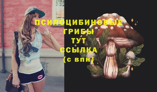 мдпв Верея