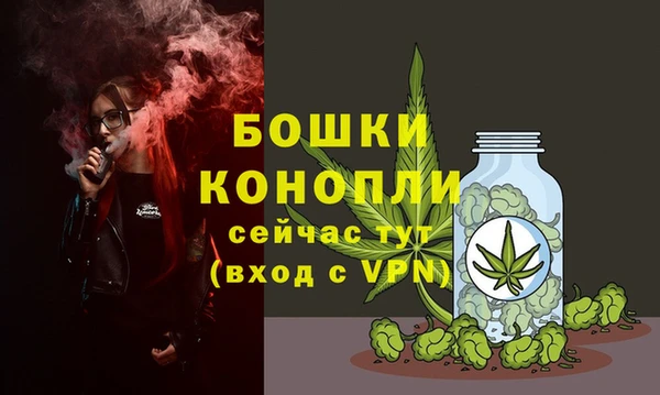 мдпв Верея